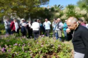 photo Empreintes-Encapsuler un jardin-Eveil