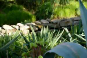 photo L'intérêt des murets en pierres sèches au jardin