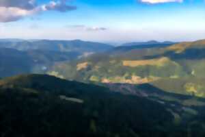 La Forêt Gourmande