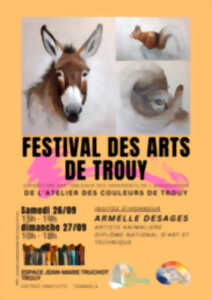photo Festival des Arts de Trouy