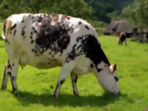 Fermes ouvertes / Visites de la fromagerie Graindorge à Livarot et la ferme de la Tuilerie à Le Mesnil Durand.