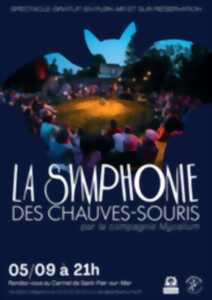 photo Spectacle en plein air : La symphonie des chauves-souris