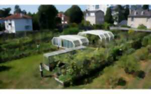 Initiation à la permaculture