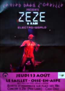 photo Concert de Zeze & Xabi