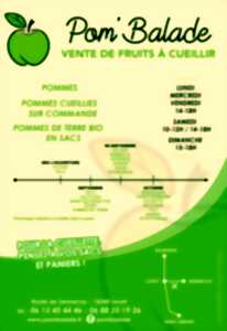 Cueillette de fruits et légumes chez Pom'Balade
