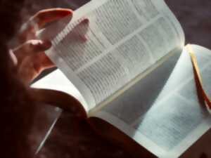 Volo'Lire