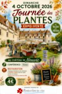 photo Journée des plantes : exposition-vente