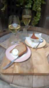 photo vignobles en Scène ! : 