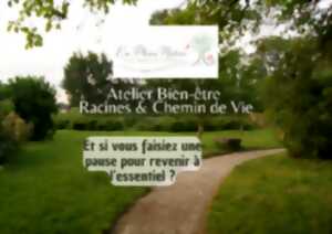 photo Atelier Racines & Chemin de Vie