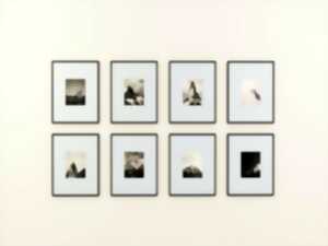 photo Peinture, Béatrice Caquot