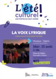 La voix lyrique...comme vous ne l'avez jamais entendue !