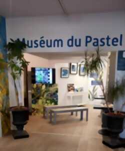 ENTRÉE AU MUSÉUM DU PASTEL GRATUITE