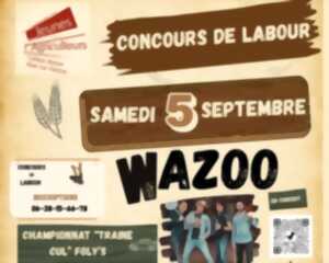 photo Concours cantonal de labour