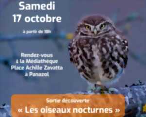 Sortie découverte « Les Oiseaux nocturne »