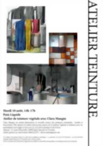photo Atelier de teinture végétale avec Clara Maugin