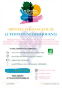 Devenez vendangeur le temps d'une demi-journée