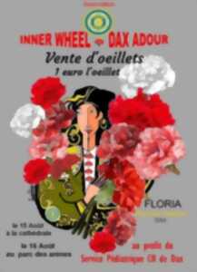 Vente d'oeillets
