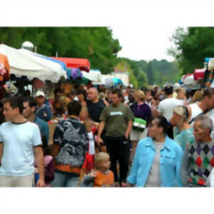photo Foire de l'AAES