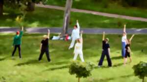 Séance découverte Qi Gong