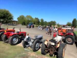 photo Défilé de vieux tracteurs