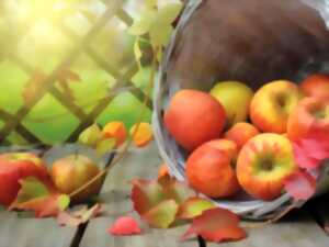 31ième fête du cidre