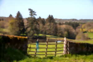 photo Visite commentée - paysage de mémoire, mémoire de paysage