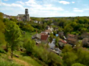 photo Jardins en péril. Que sont nos jardins devenus ?