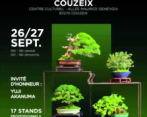 photo Exposition nationale de bonsaï : Couzeix accueille un rendez-vous d’exception