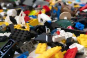 photo Atelier Lego® avec Anima’briques