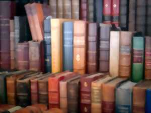photo Visite commentée de l'atelier de la bibliothèque