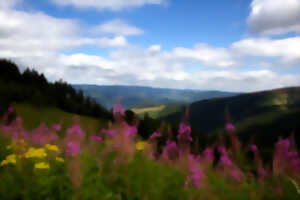 photo Club Vosgien : Linthal, Hilsen et le Klintzkopf