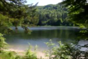 photo Club vosgien : Du lac de Blanchemer à la tourbière de Machais