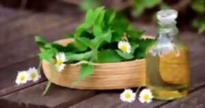 Atelier aromathérapie : l'art de l'équilibre entre corps et esprit