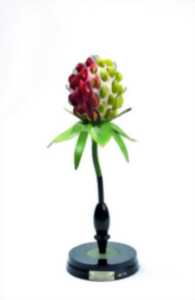 Bouquet d’été, des œuvres à rencontrer