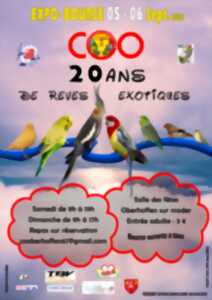 photo 20 ans de Rêves Exotiques !