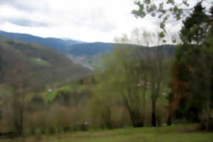 photo Club vosgien : La Bresse