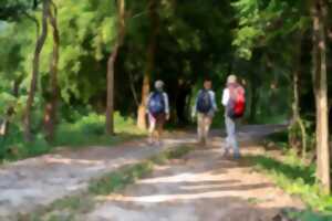 Randonnée touristique : les hautes chaumes