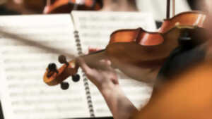 photo A la découverte des instruments : les cordes