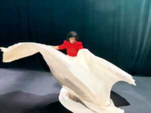 photo Pratique corporelle et animation de matières