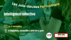 photo Formation Travailler sans s’entretuer - les bases de l’intelligence collective