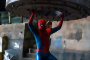 photo Film - Spiderman brand new day