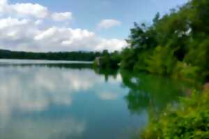 photo Club vosgien : Sentier des bunkers de Burnhaupt-le-Bas