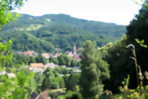 Club vosgien : Le circuit du Moenchberg