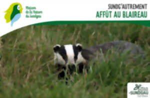 photo Affût au blaireau - Dès 8 ans