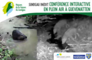 Conférence interactive en plein air à Guevenhatten