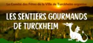 Les sentiers gourmands de Turckheim - sur les pas du dragon,en semi-nocturne