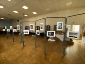photo Exposition : Un tour d'art
