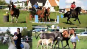 photo Fête du cheval