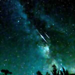 photo Art Zen nocturne - Immersion sous le ciel des Perséides