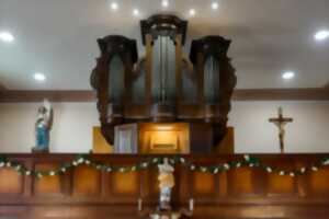 photo Concert hivernal de l'orgue Stieffell